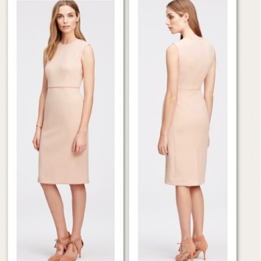 Ann Taylor Blush Sheath Dress